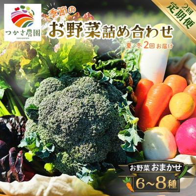 ふるさと納税 春日井市 【定期便2回(夏・冬)】つかさ農園 季節のお野菜詰め合わせ(6〜8種) ※北海道・沖縄・離島配送不可