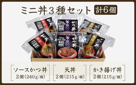 ソースカツ丼 天丼 かき揚げ丼 各2個 (計6個セット) レンジで簡単調理！ミニ丼3種セット！ [A-8405]