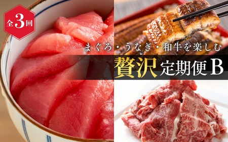 定期便【全3回/毎月お届け】まぐろ・うなぎ・和牛を楽しむ贅沢定期便B / 鮪 マグロ 刺身 鰻 ウナギ 蒲焼 熊野牛 肉 牛肉 和牛 黒毛和牛 赤身 こま切れ 【tkb387】