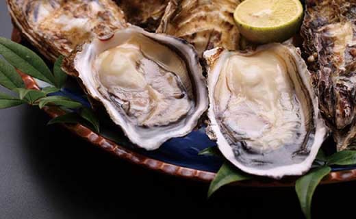 ★期間限定★＜周防大島産＞特大！天然！殻付き岩牡蠣 10個【先行受付開始！2026年5月15日以降のお届け】
