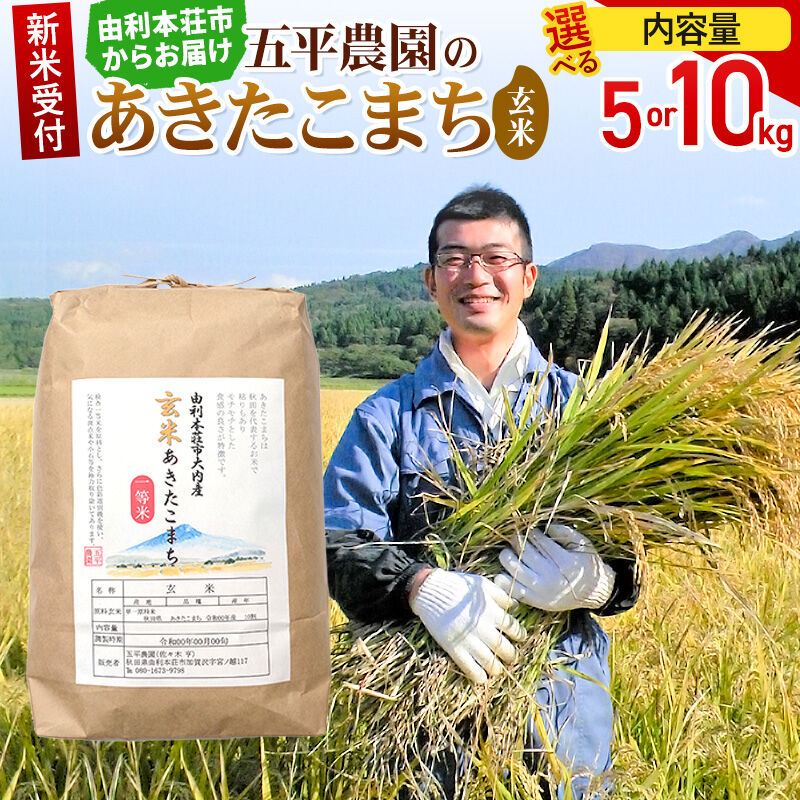 【ふるさと納税】《令和8年産 新米受付》【玄米】あきたこまち【選べる容量 5kg／10kg】秋田県産 五平農園の あきたこまち 《11月下旬〜12月下旬発送予定》 [あきたこまち 新米受付 米 お米 こめ ブランド 玄米 食卓 おにぎり 秋田県産]