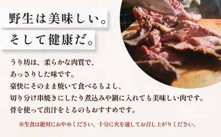 うり坊　骨付き肉　半頭分（約3kg～4kg）　富山県 氷見市 猪 ジビエ ウリ坊 肉 BBQ 鍋 