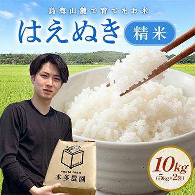 ふるさと納税 酒田市 はえぬき 精米 10kg(5kg×2袋) 令和8年産米 山形県酒田産