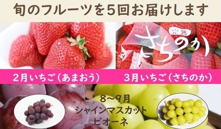 【年5回】旬のフルーツ定期便★あんずの里【随時開始】[G7032]