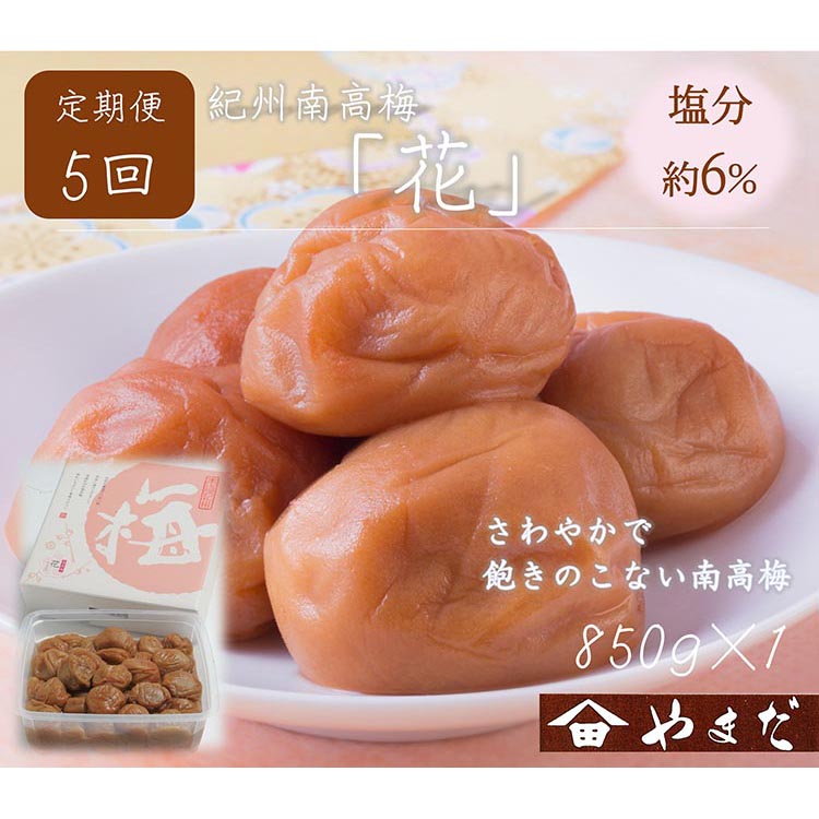 【定期便/2か月ごと/全5回】紀州南高梅「花」塩分約6％（850g）