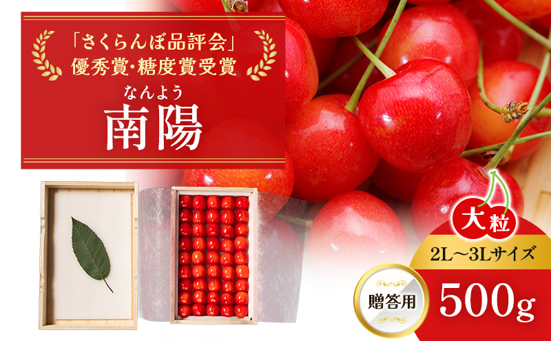 [先行受付] 北海道 仁木町産 贈答用 さくらんぼ 【 南陽 】 桐箱入 2L～3Lサイズ 500g 果物類 フルーツ チェリー サクランボ ギフト [嶋田茂農園匠]
