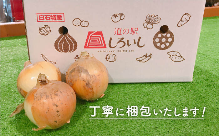 【玉ねぎの名産地！】白石産 新たまねぎ 約5kg【道の駅しろいしカンパニー】 [IAA030]