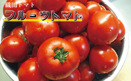 ≪2027年1月頃～発送≫【ふるさと納税】＜フルーツトマト 定期便 織田トマト 約1kg ×3回 計3kg 真っ赤なフルーツ太陽＞高知県 佐川町 サイズ混合 ＜毎年2月末頃まで申込受付＞【1月頃～5月