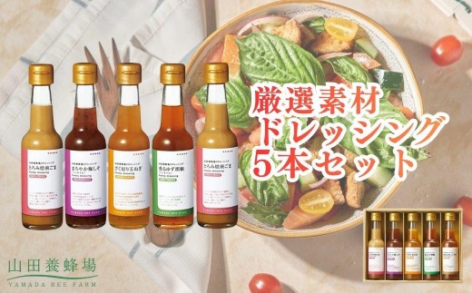 
                  厳選素材ドレッシング5本セット（とろみ焙煎ごま、まろやか梅しそ、ざく切り玉ねぎ、香るゆず胡椒、芳醇ねぎしょうが）（20963）【006-a152】｜ドレッシング ドレッシングセット 調味料 詰め合わせ 食べ比べ 岡山県 鏡野町
                