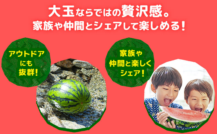 【先行予約】大玉すいか 2玉(約10kg) 日本フルーツ株式会社《4月下旬-7月下旬頃出荷》熊本県 菊池市 すいか スイカ 大玉 熊本県産