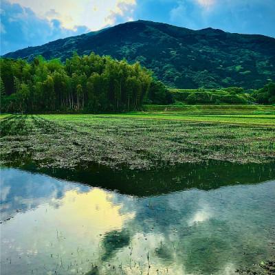 ふるさと納税 苅田町 【令和7年産 新米先行受付】福岡県産 夢つくし【千づ乃しずく】10kg(5kg×2袋) 玄米 |  | 03