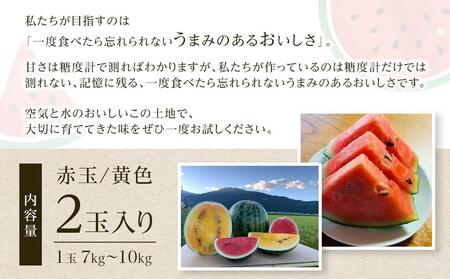 【夏季限定】飯塚農場産の八色原すいか　大玉2玉（赤1玉・黄1玉）セット【2026年7月下旬より順次発送予定】