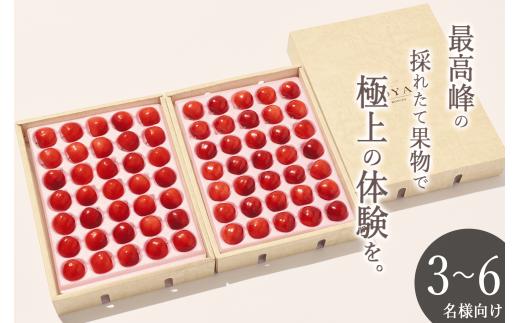 ＜2026年発送先行予約＞南アルプス市産 大粒さくらんぼ“佐藤錦” 2L,3Lサイズ 70粒入 ALPAL016