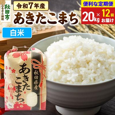 ふるさと納税 秋田市 定期便12ヶ月 あきたこまち20kg 白米 令和7年|15_kml-012012h