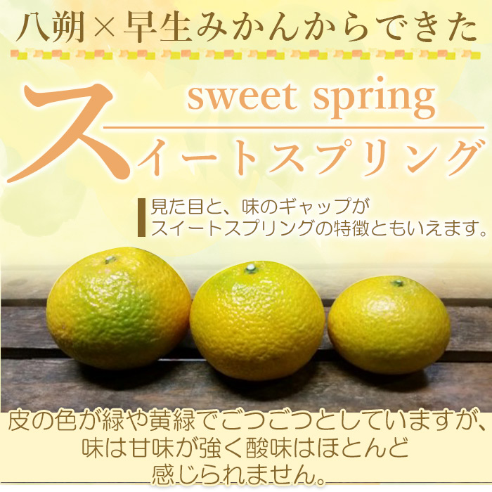 ＜愛媛県西予市産 スイートスプリング 家庭用 約4kg＞ 訳あり ワケアリ すいーとすぷりんぐ 果物 くだもの みかん ミカン 柑橘 甘い フルーツ 果実 特産品 産地直送 段畑みかん株式会社 愛媛県