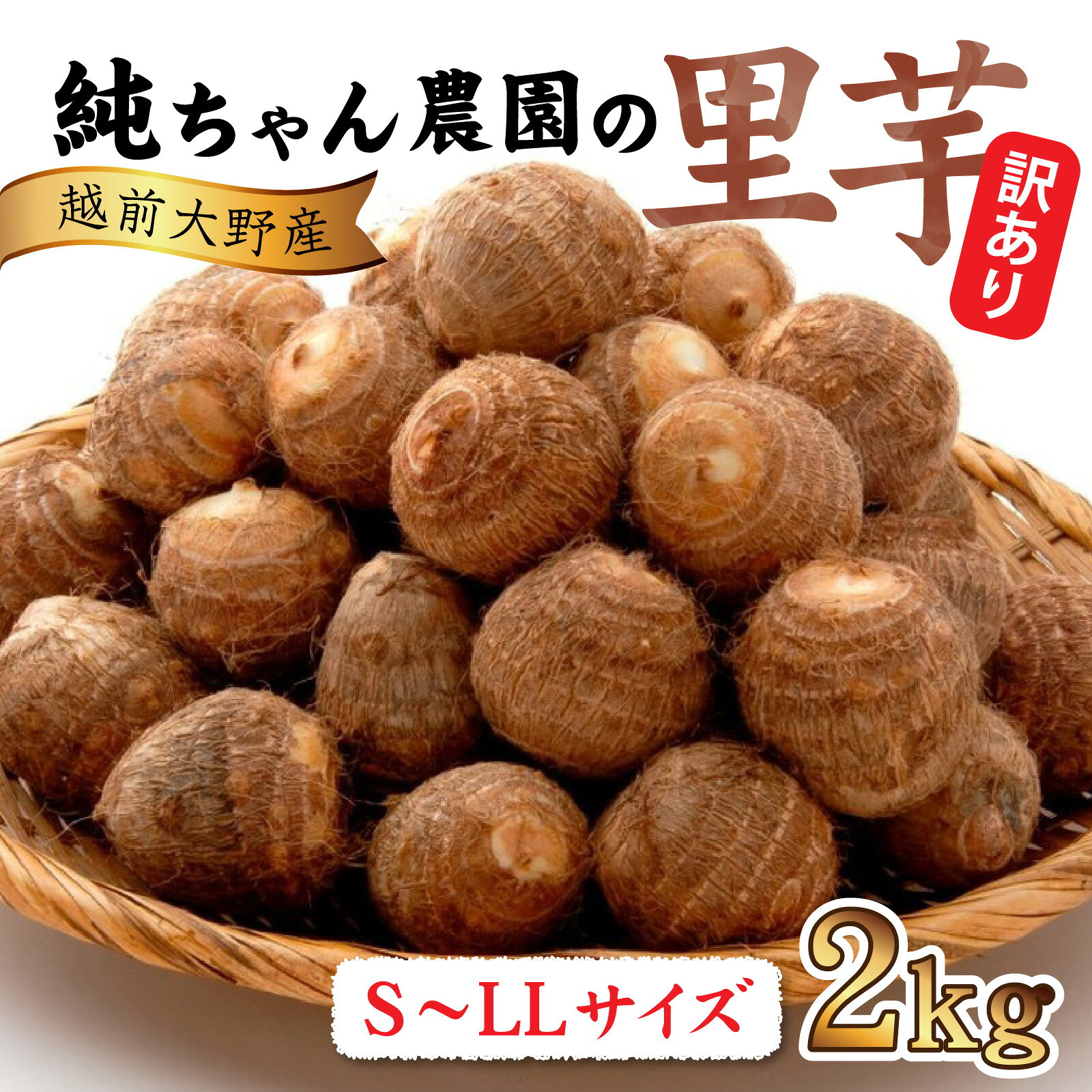 【ふるさと納税】【先行予約】【訳あり】越前大野産 「純ちゃん農園の里芋2kg」サイズS〜LL寸【2026年10月中旬から順次発送】 [A-074014] [A-074014]