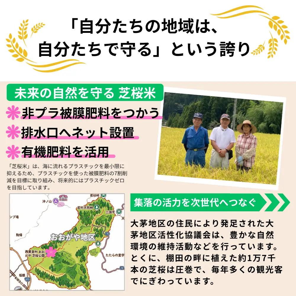 《先行予約 2026年10月発送》【3回定期便】白米 5kg 令和8年産 コシヒカリ 岡山 「おおがや 芝桜米」 G-af-BFCA