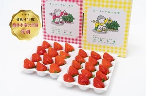 【2026年 先行予約】前橋市産いちご　贈答用2品種食べ比べセット