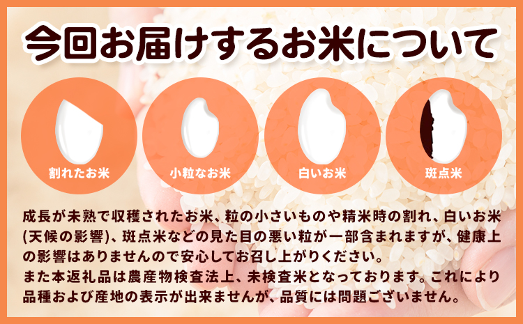 米 こめ 岩出市応援米 約5kg 《30日以内に出荷予定(土日祝除く)》 和歌山県 岩出市 お米 コメ ご飯 ごはん 米5kg