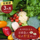 【ふるさと納税】【定期便】淡路島の旬の野菜セット 3ヶ月コース（月1回×3回）