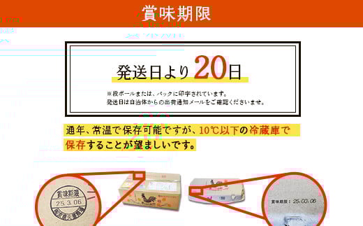 【ふるさと納税】霧島山麓育ち こだわり卵 康卵 たまご 玉子 生卵 鶏卵 20個入り 破損保証2個含む MS L 混合 宮崎県産
