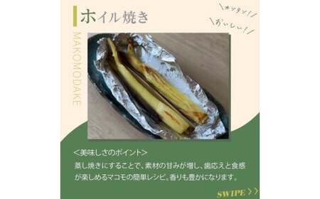 【先行予約】完全自然栽培マコモダケ 約1kg 【9月中旬～発送予定】| マコモダケ まこもだけ マコモ たけのこ トウモロコシ 長野県 塩尻市
