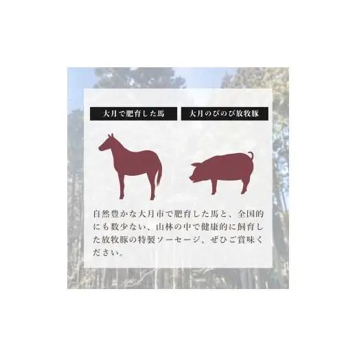大月市で肥育した馬と放牧豚で作ったソフトサラミソーセージ【馬肉80%：豚肉20%】　70gシート　4枚【1087-033】
