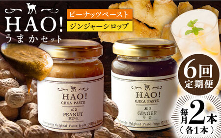 【6回定期便】＜HAO!うまかセット＞ ピーナッツペースト＆ジンジャーシロップ 各1本   [DAA042] 落花生 ピーナッツ
