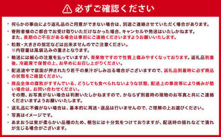 【ギフト用／特別栽培】 福岡県産 あまおう EX 約450g×2パック 【2025年1月上旬～3月下旬発送予定】 いちご イチゴ 苺 フルーツ 果物 くだもの ギフト 贈答用 贈り物 福岡県 遠賀町