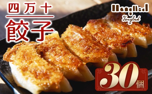【四万十餃子 30個入り】高知県四万十町の食と地域の魅力を包んだ「四万十餃子」／Qih-01