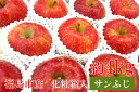 【ふるさと納税】No.0945 ふくしまのりんご蜜姫「サンふじ」約4kg化粧箱入【2025年度発送】