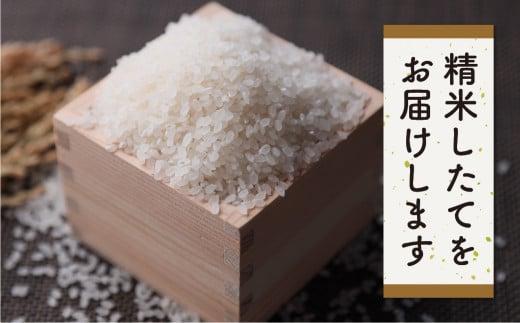 【定期便 6ヶ月】（全6回）令和7年産 新米 特別栽培米 飛騨産コシヒカリ「うまいうまい飛騨の米」5kg | 白米 お米 節減農薬米 のし対応 飛騨高山 ファームジネンいいむら GG101