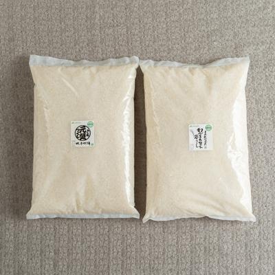 ふるさと納税 春日市 【春日】米食べ比べ「夢つくし&amp;元気つくし」各2.5kg