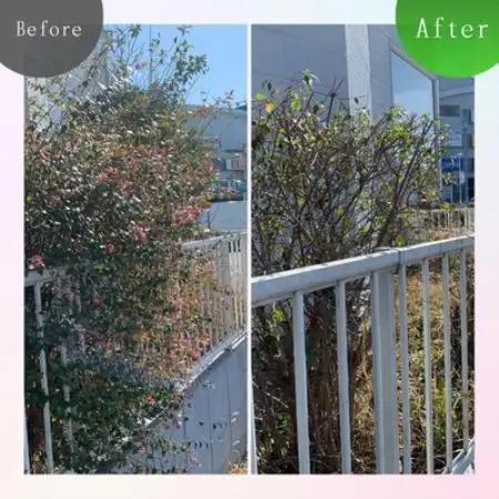 実家・空き家の草刈り・草取り・剪定(大牟田市)【1739304】
