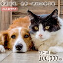 【ふるさと納税】愛護支援、去勢・避妊治療支援 30万円 [Animal Care Salvation 福岡県 筑紫野市 21760766] 動物 ペット 愛護 TNR 保護 動物福祉 保護施設 里親 犬 猫 イヌ ネコ 動物愛護