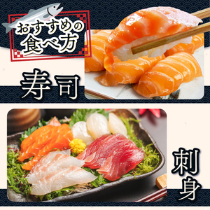絶品！信州サーモン 切り身 刺身用 約120g × 2パック 計約240g