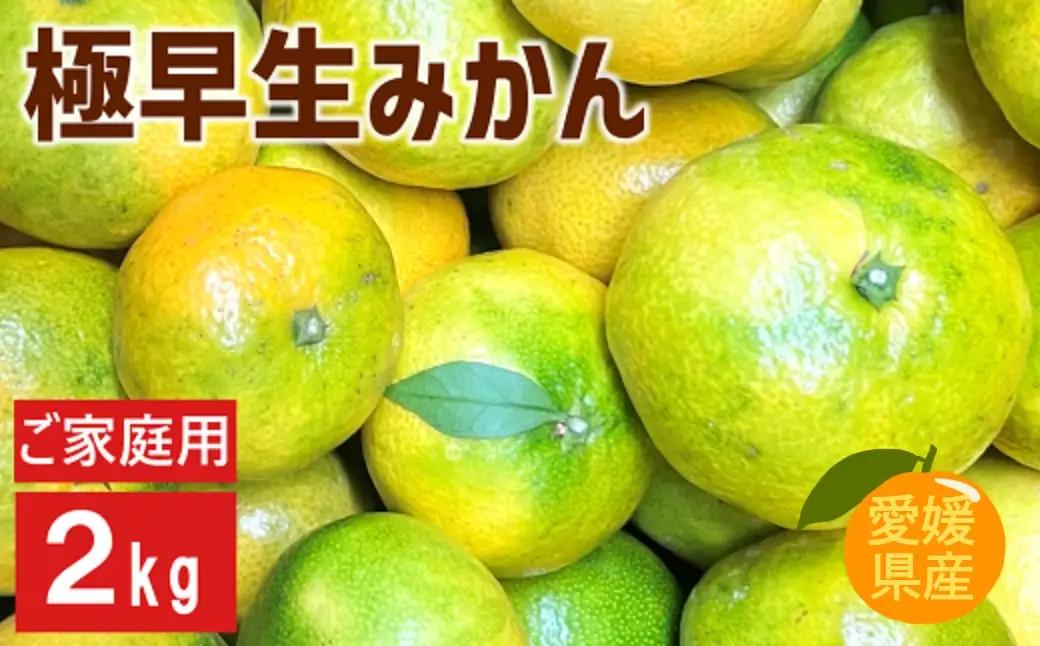 【2026年先行予約】極早生みかん 2kg ご家庭用 【9月下旬以降順次発送予定】 農園直送 数量限定 みかん 愛媛県産 人気 柑橘 伊予市｜A97