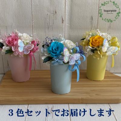 ふるさと納税 春日部市 プリザーブドフラワーアレンジ【フロットン　3色セット】春日部市 シュガーパイン