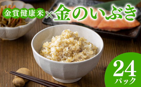 【 ご飯パック 】 金賞 健康米 金のいぶき 120g×24個入り ご飯パック