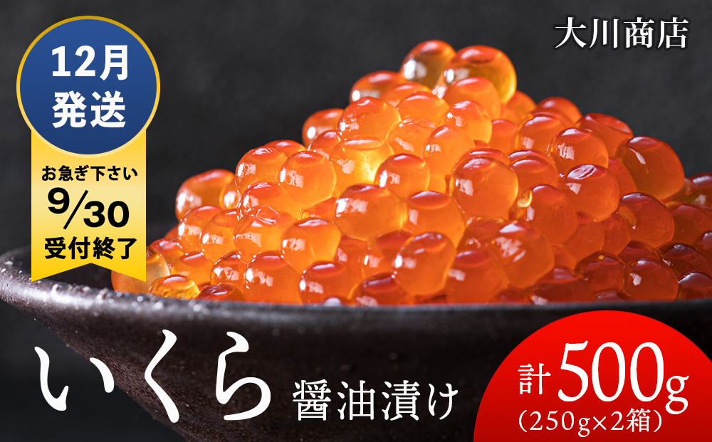 ≪12月発送≫いくら醤油漬け250g2箱＜大川商店＞