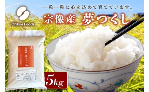 宗像産 夢つくし 5kg（ 米 白米 おいしい 福岡県 宗像市 宗像産 夢つくし 5kg 5キロ ）【ちかえフーズ】_HA1807