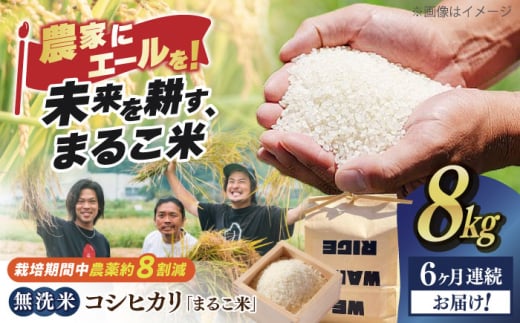 【全6回定期便】無洗米 コシヒカリ 滋賀県西浅井町産「まるこ米」8kg（2kg×4）　滋賀県長浜市/ONE SLASH 株式会社[AQCZ026]  米 お米 白米 無洗米 こしひかり 8kg 地域 応援 定期便