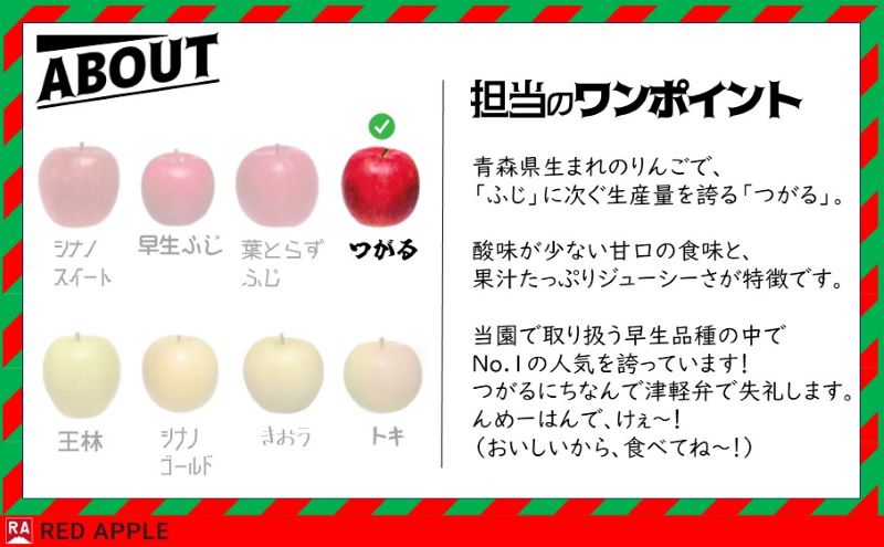 りんご【 9月 クール便発送 】 家庭用 つがる 約 10kg 【 弘前市産 青森りんご 】 REDAPPLE 青森県産 早生りんご