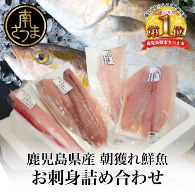 ふるさと納税 南さつま市 ★漁師厳選★ お刺身 詰め合わせ(4種) 朝獲れ 直送 冷蔵 刺身 さしみ
