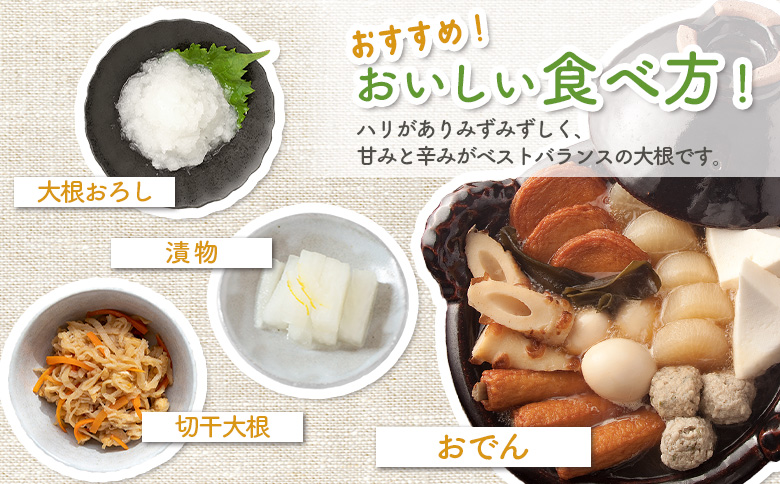 大根 10kg だいこん ダイコン オンライン 申請 ふるさと納税 北海道 留寿都 野菜 根菜 産地直送 新鮮 採れたて 大根おろし サラダ 切干大根 漬物 汁物 ビタミン 10キロ 留寿都村【240