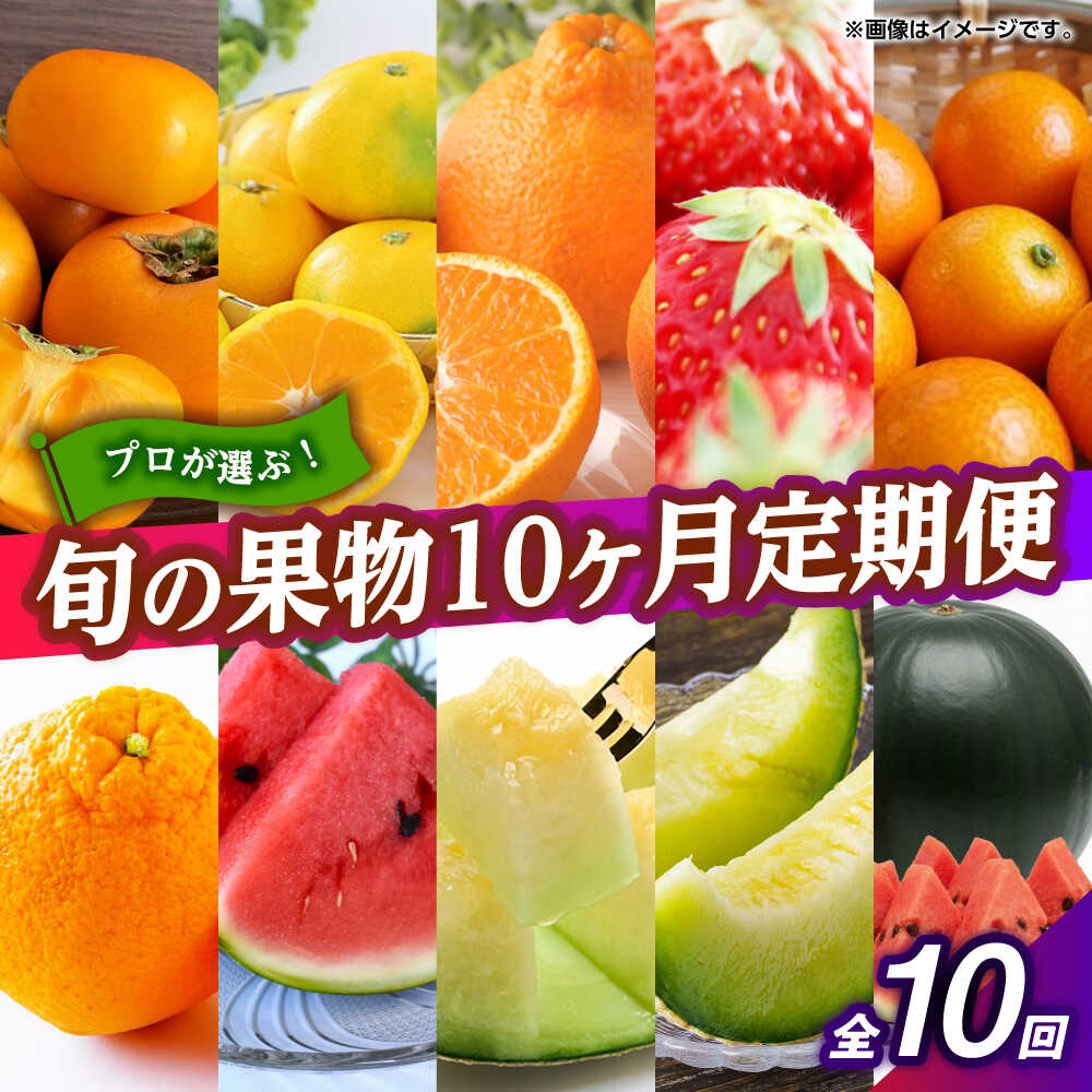 【ふるさと納税】フルーツ10ヶ月定期便　【10月〜7月】　【くまふる】[ZBG078]