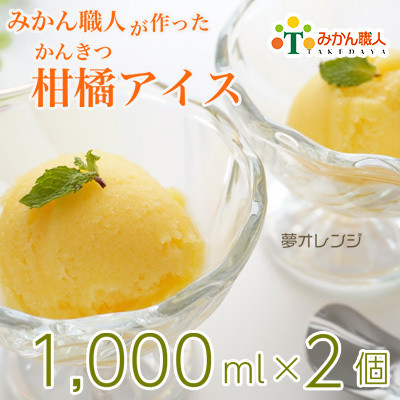 
みかん職人が作った柑橘アイス ( 夢オレンジ 1000ml 2箱 ) ギフト 詰め合わせ 蜜柑 お取り寄せ 贈答品 氷菓 シャーベット ソルベ 美味しい 愛果28号 愛媛果試第28号 まどんな フルーツ 果物 果汁 みかん職人武田屋 愛媛県 愛南町
