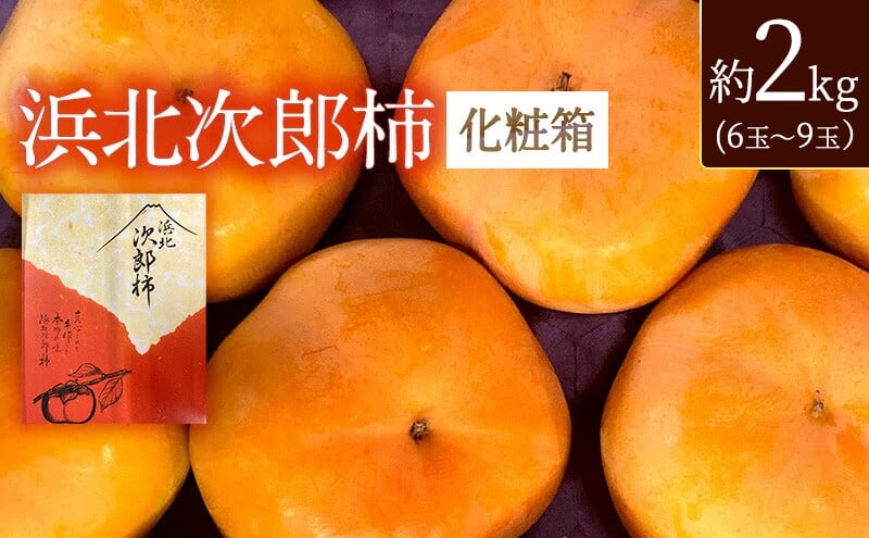 
            静岡県浜松市産 次郎柿 約2kg 6玉～9玉 柿 甘柿 フルーツ 果物 化粧箱入 静岡 浜松市【配送不可：離島】
 [№5360-0812]
          