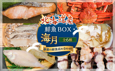 【中身は届いてからのお楽しみ】お魚お楽しみBOX 海月(6種）