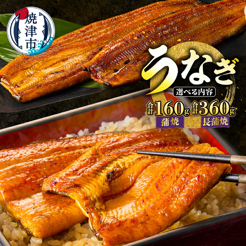 【ふるさと納税】 鰻 うなぎ 蒲焼 長蒲焼 【選べる内容量】 約80g×2袋 約120g×3尾 静岡うなぎ 漁協 長焼 セット たれ・山椒付き 上品 うな丼 うな重 ご飯のお供 おつまみ おがず 魚 冷凍 焼津 a10-207 a20-129